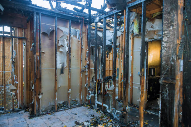Professional Odor Removal technician working in Medford, WI