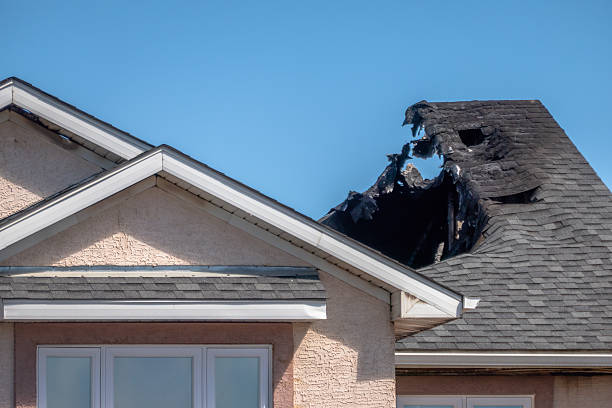 Top rated local Odor Removal specialists in Medford, WI